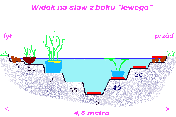 Schemat - przekrj mojego stawu